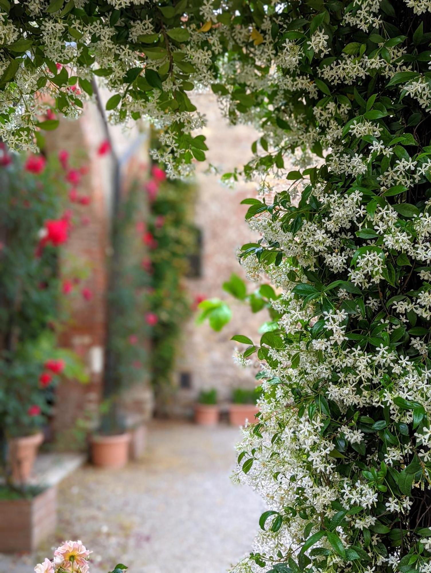 Enchanting Vérone Extérieur photo